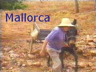 CAMPO - (00)  LABRANZA